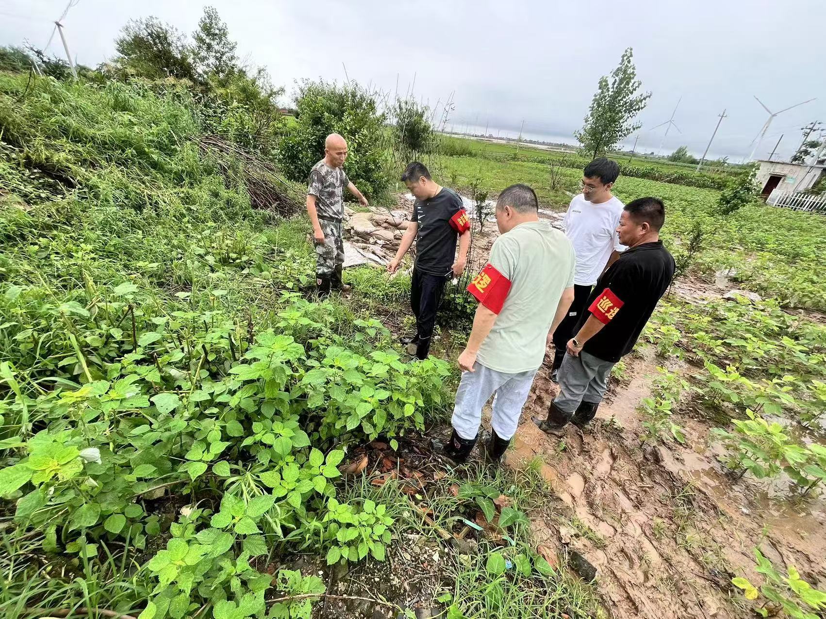 防汛進(jìn)行時(shí)丨工程咨詢集團(tuán)黨員干部聞“汛”而動(dòng)，風(fēng)雨顯擔(dān)當(dāng)