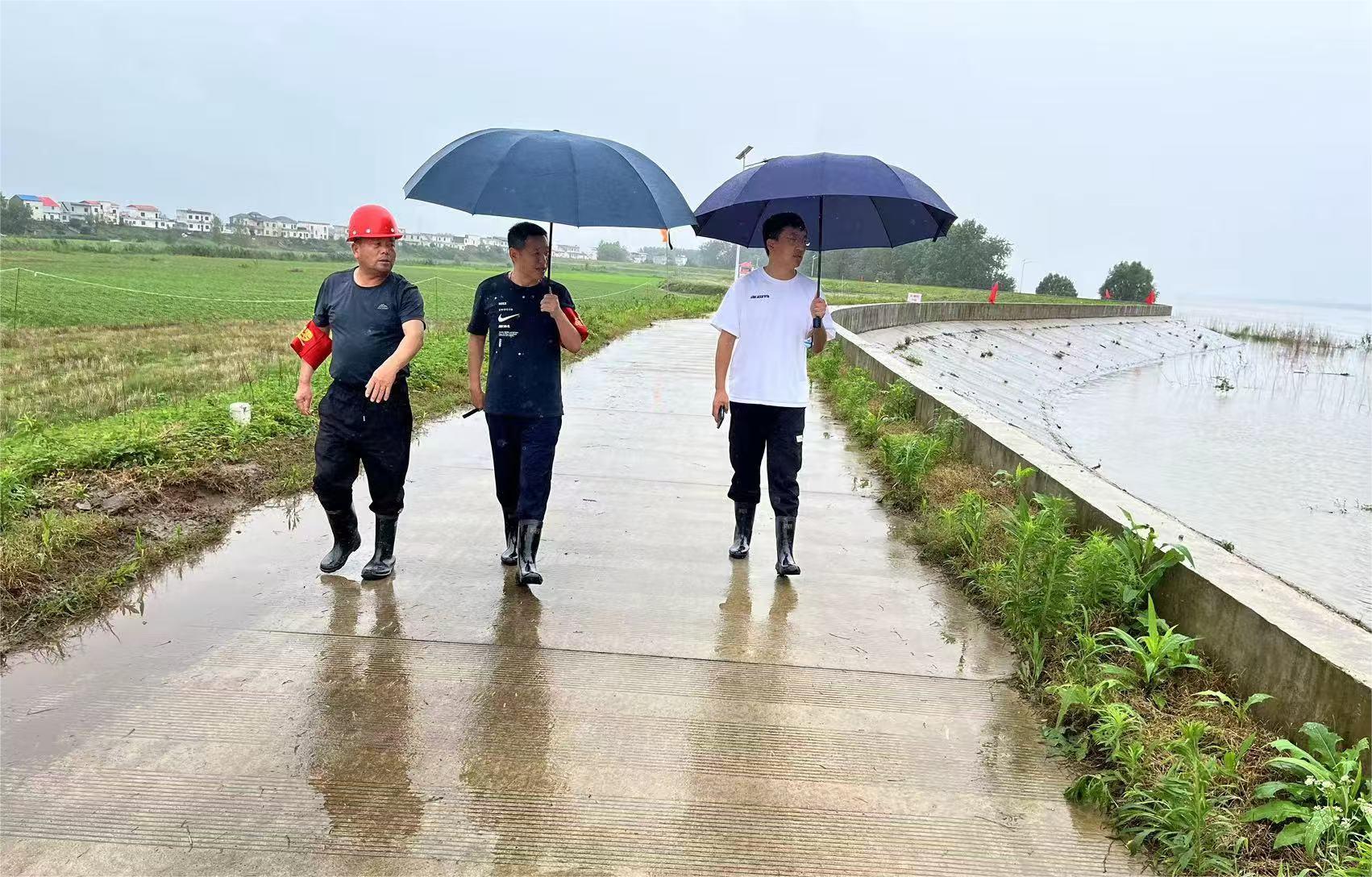 防汛進(jìn)行時(shí)丨工程咨詢集團(tuán)黨員干部聞“汛”而動(dòng)，風(fēng)雨顯擔(dān)當(dāng)